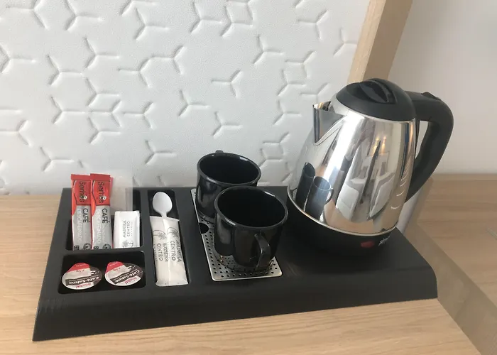 马德里中心酒店 4*